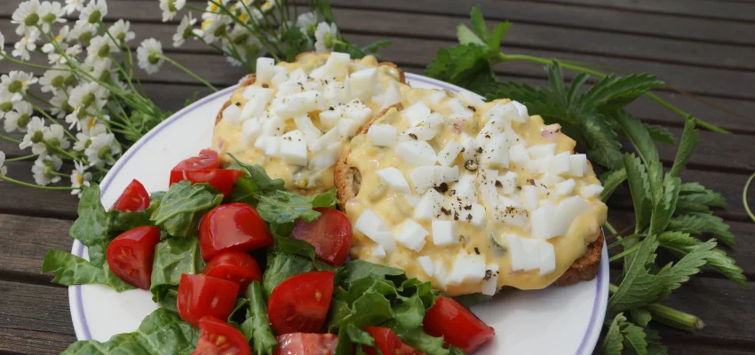 Tartine œufs mimosa revisités